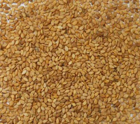 Ajonjoli dorado venta online