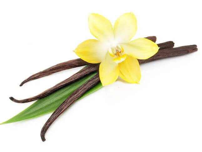 Aroma de Vainilla 150ml - Imagen 2