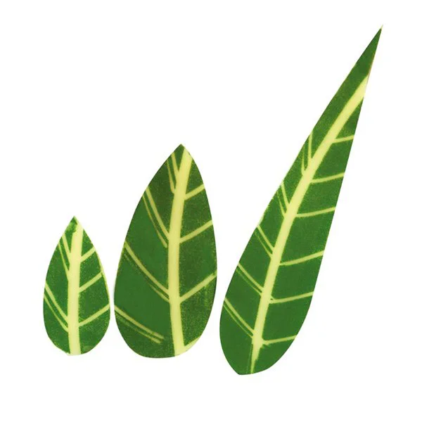 Hoja Verde de Chocolate Blanco de Hillbo