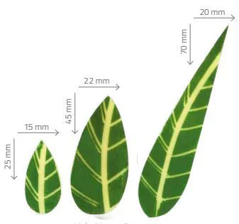 Hojas Verdes de Chocolate Blanco 108uds - Imagen 3