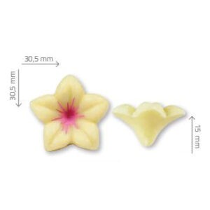 Jazmín Rosa de Chocolate 76uds