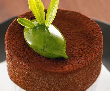 Cacao en Polvo Insoluble (100%) 1Kg - Imagen 4