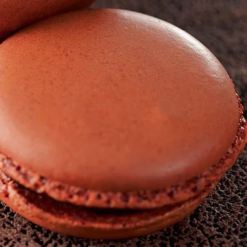 Cacao en Polvo Plein Arome (100%) - Imagen 3