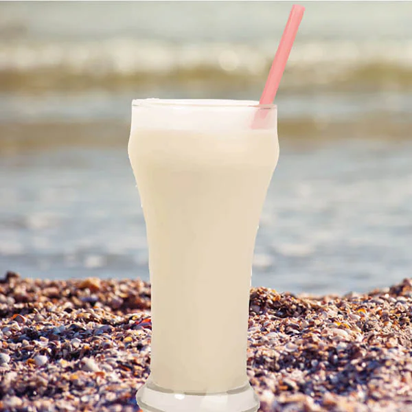 Granizado de Yogurt GR-22 1Kg - Imagen 2
