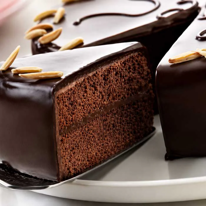 Preparado para Bizcocho de Chocolate 15Kg - Imagen 2